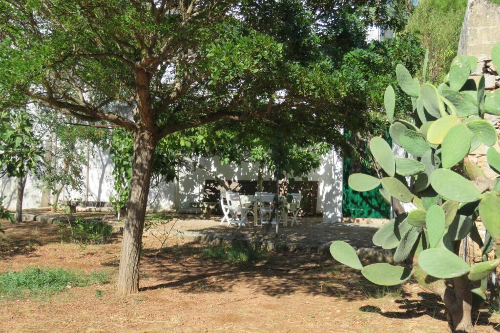Villa Casa Colonica Gallipoli Esterno foto