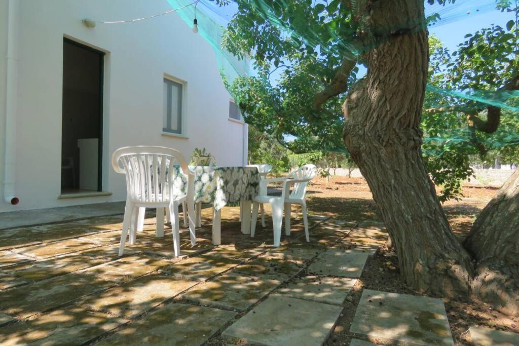 Villa Casa Colonica Gallipoli Esterno foto
