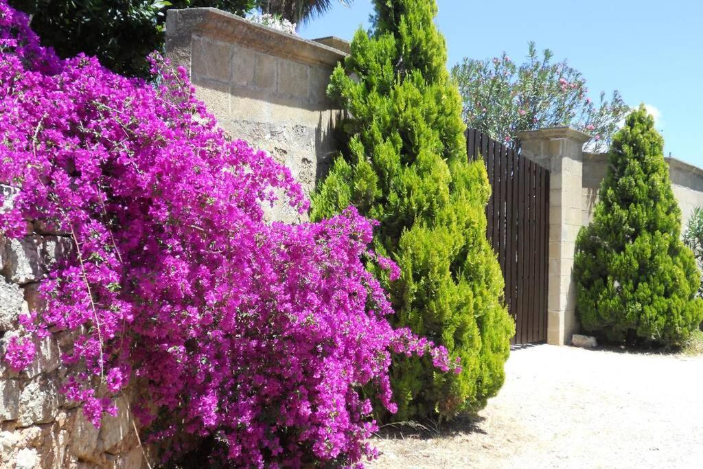 Villa Casa Colonica Gallipoli Esterno foto